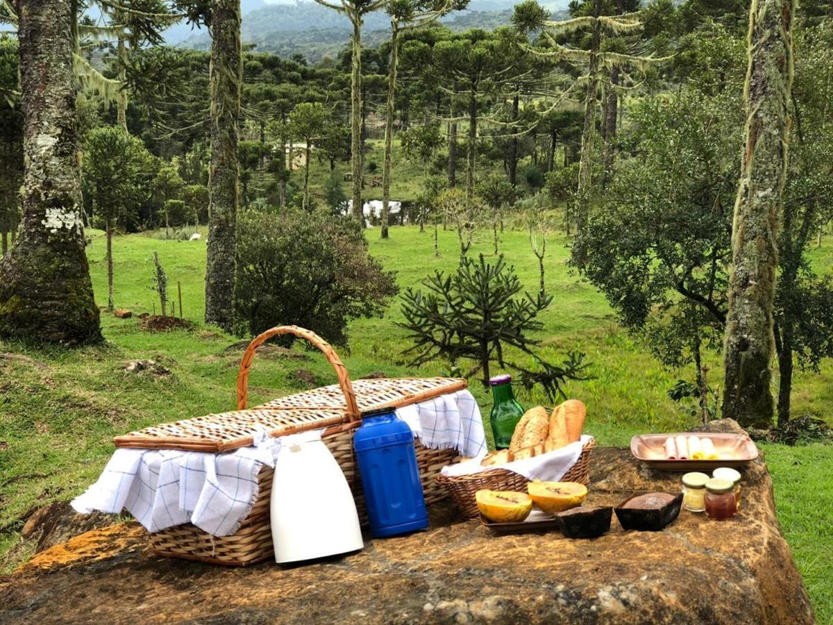 ホテル Refugio Arati Rio Rufino エクステリア 写真